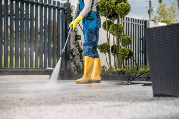 Best Sidewalk and Walkway Cleaning  in Santee, CA